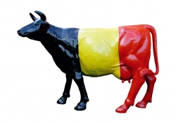 Alles over PUUR BELGE!